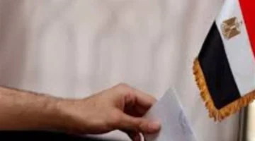 ماراثون انتخابات النواب 2025 يبدأ بين المصريين في الخارج وانتظار النتائج يثير اهتمام الناخبين